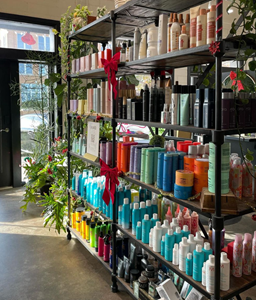Holiday Salon Display