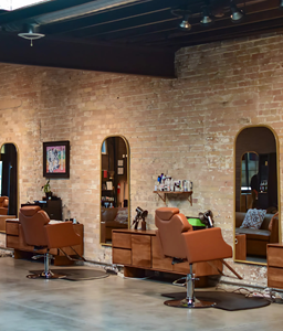 LGBTQ Safe Salons 