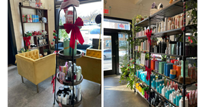Salon_NV_Holiday_Display thumbnail